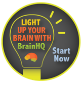 logo3.png