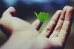 growth 150x100.png